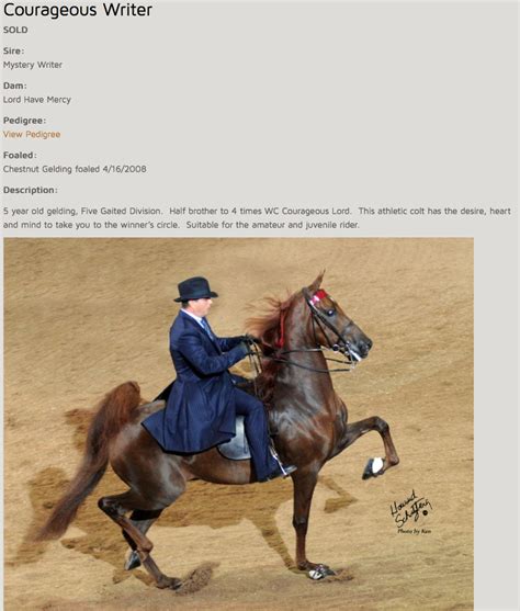Is saddlebred a good brand. Things To Know About Is saddlebred a good brand. 